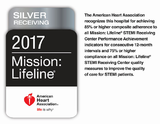 2017 AHA Lifeline Award Silver